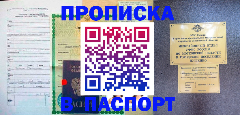 временная регистрация госуслуги в Арамили